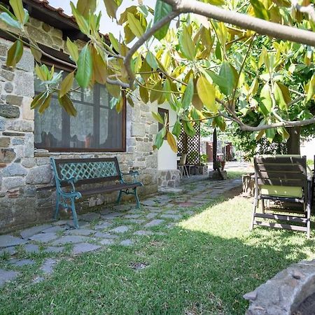 Traditionelles Appartement Athos Shadow Am Meer Paralia Sikias Exterior photo
