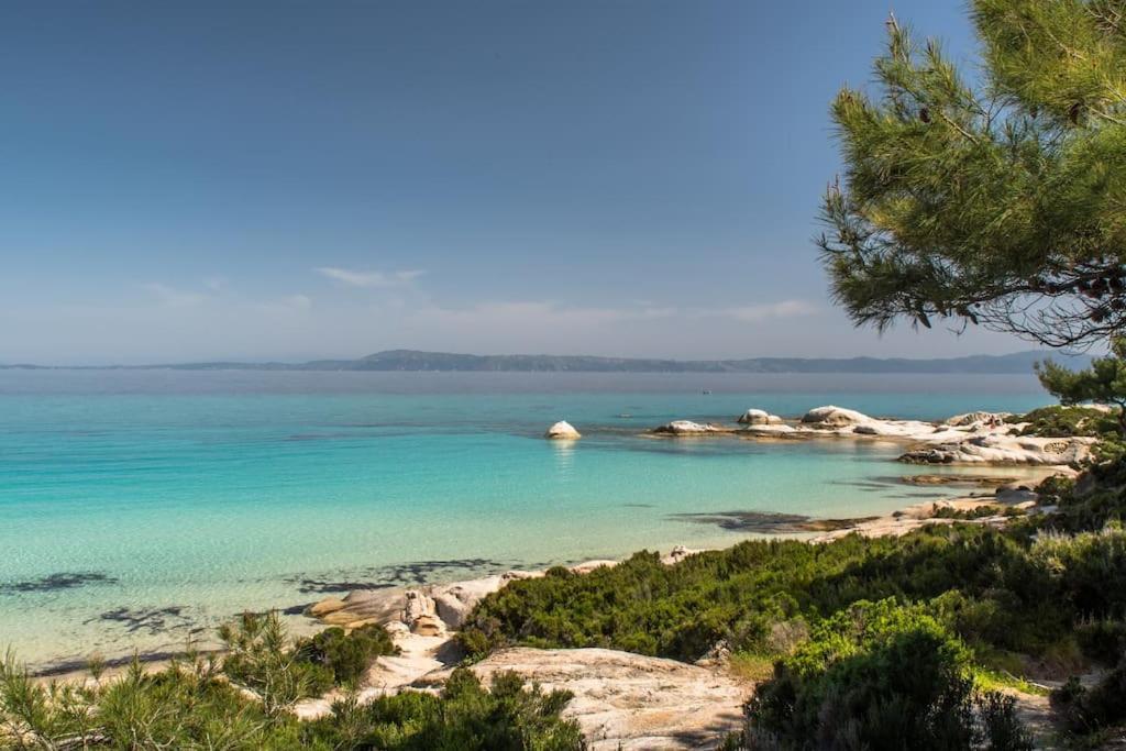 Traditionelles Appartement Athos Shadow Am Meer Paralia Sikias Exterior photo