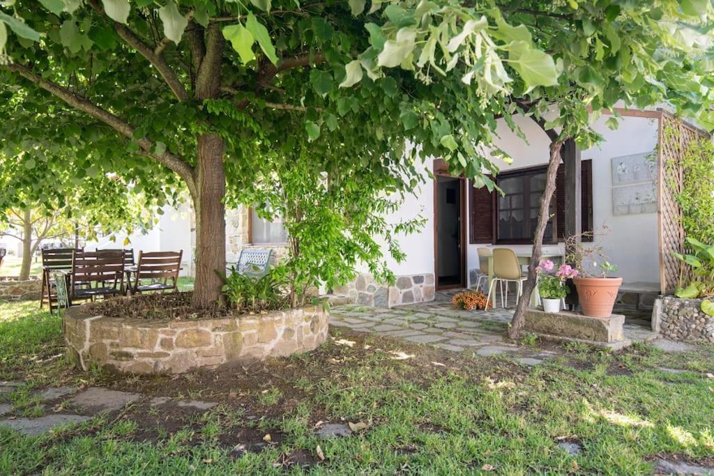 Traditionelles Appartement Athos Shadow Am Meer Paralia Sikias Exterior photo