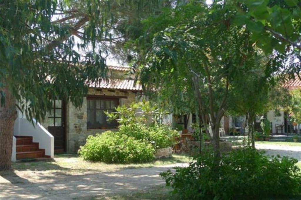 Traditionelles Appartement Athos Shadow Am Meer Paralia Sikias Exterior photo