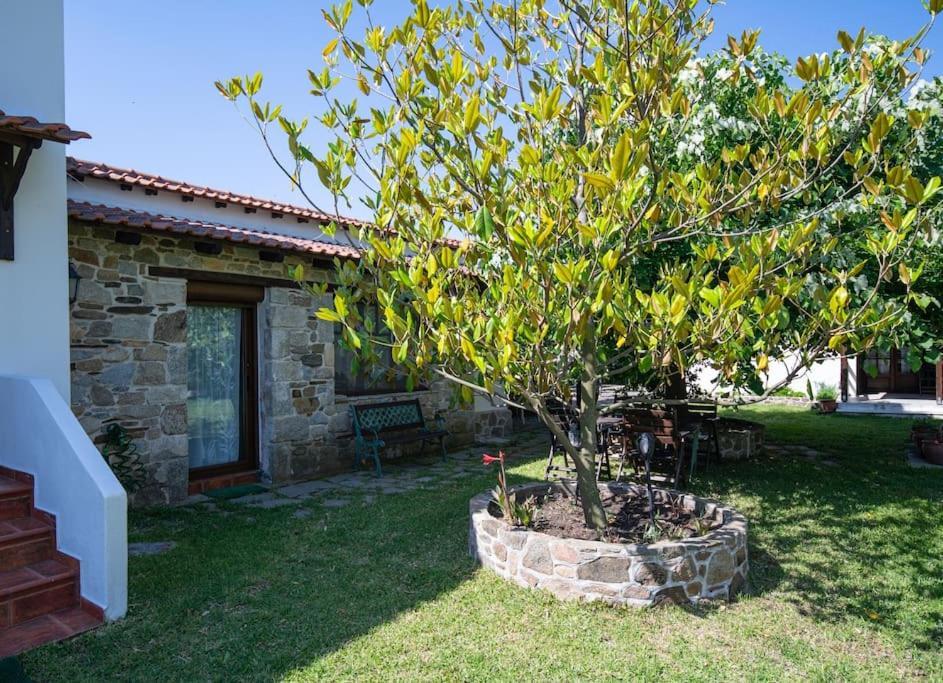 Traditionelles Appartement Athos Shadow Am Meer Paralia Sikias Exterior photo